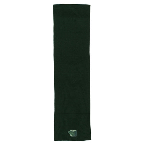 ARMANI EXCHANGE green scarf